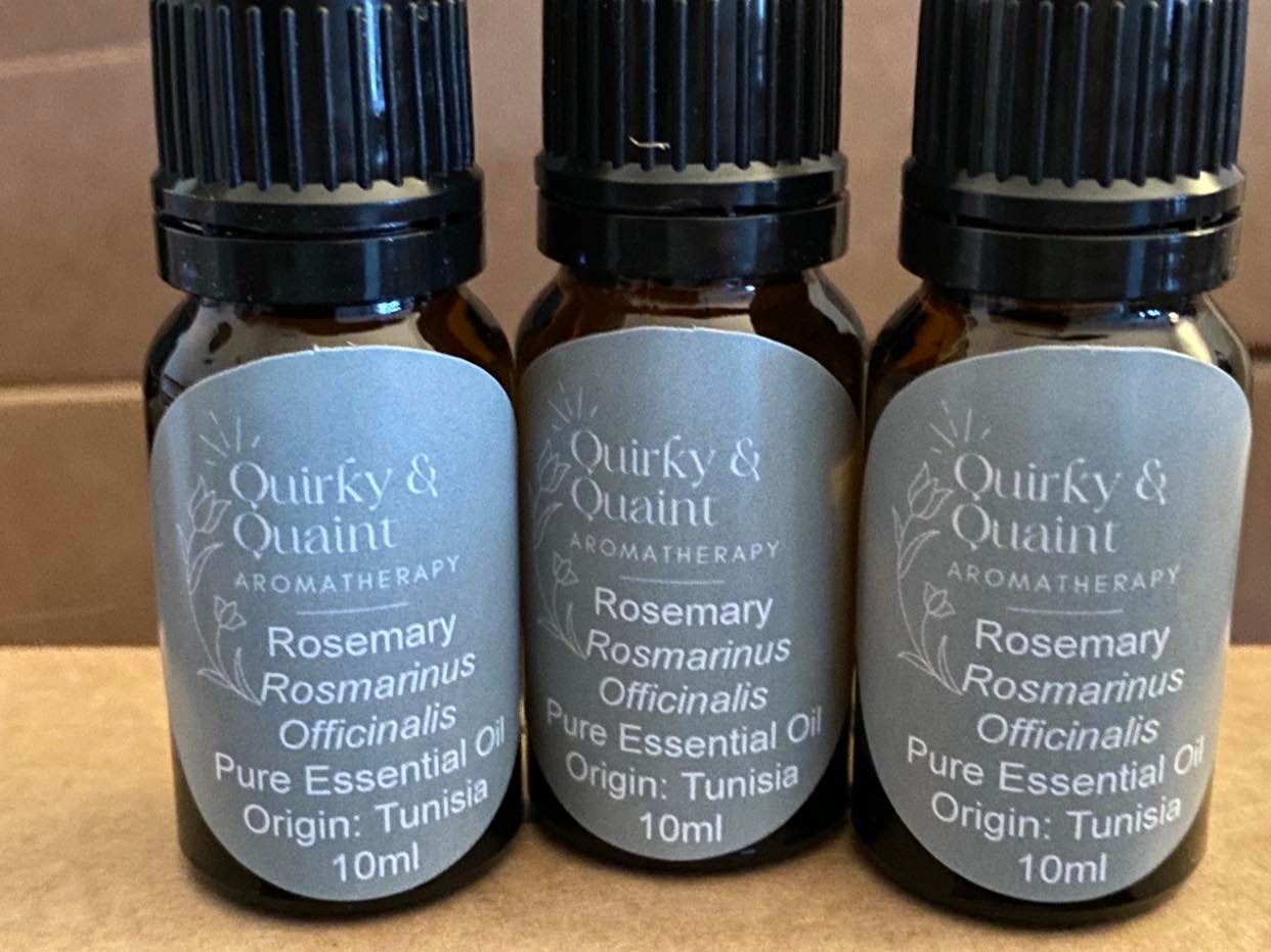 Essential Oil - Rosemary