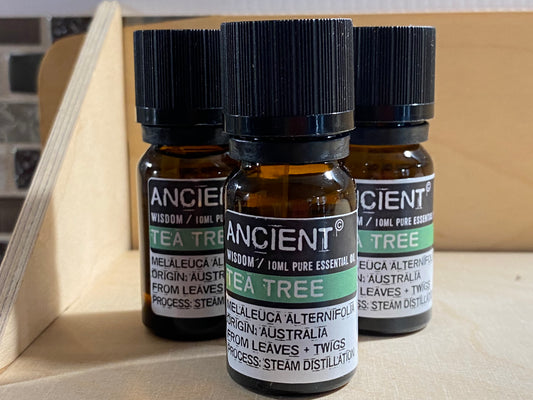 Essential Oil - Tea Tree