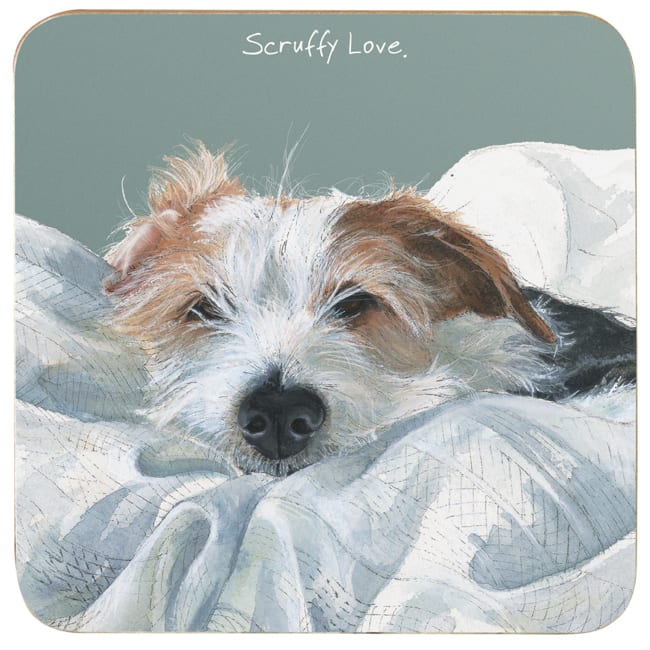 Coaster - Scruffy Love