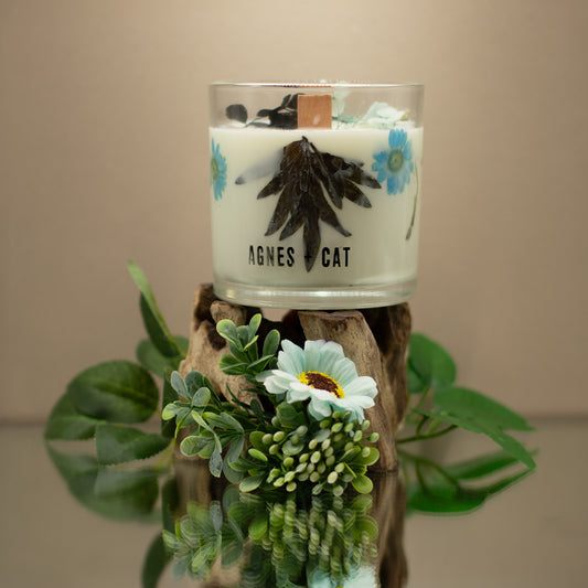 Agnes + Cat Extra Large Crackle Soy Candle - Seasalt & Moss