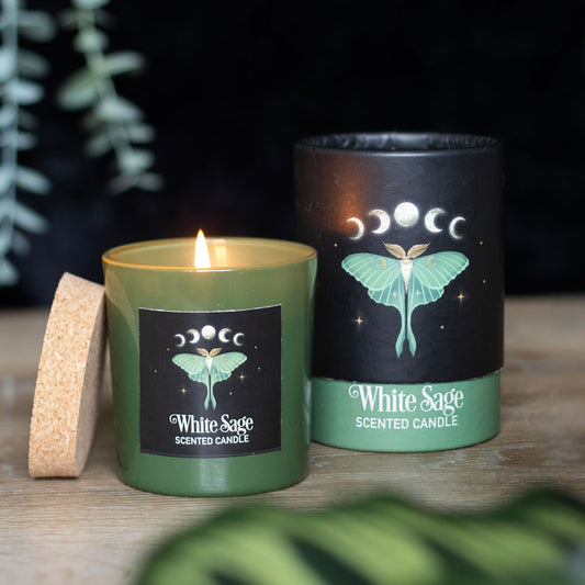 CANDLE - FOREST LUNA MOTH WHITE SAGE