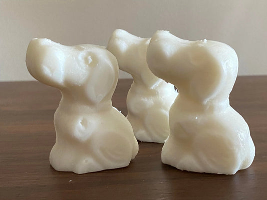 Dog Friendly Wax Melts