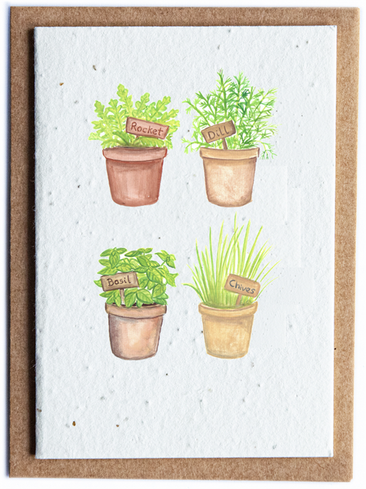 Plantable Herb Seed Card - Herb 4 Pots
