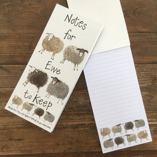 Magnetic To Do Lists - Notes for Ewe