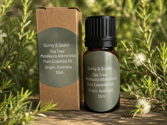 Essential Oil - Tea Tree