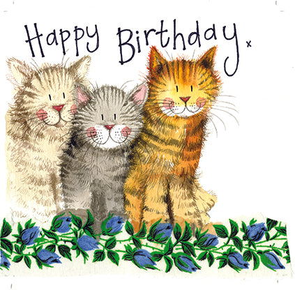 Card - The Three Amigos Cat Birthday