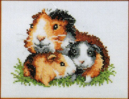 GUINEA PIG COUNTED CROSS STITCH KIT